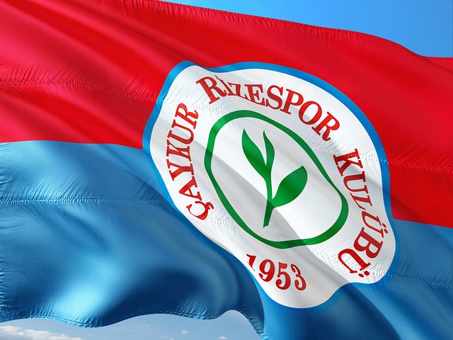 墨尔本胜利队长：我们正处在艰难时期，需要全队一起改变局面